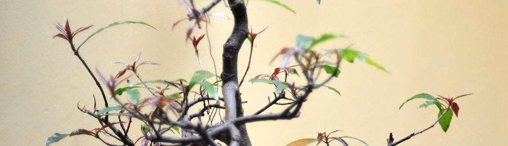 eric m baral photography